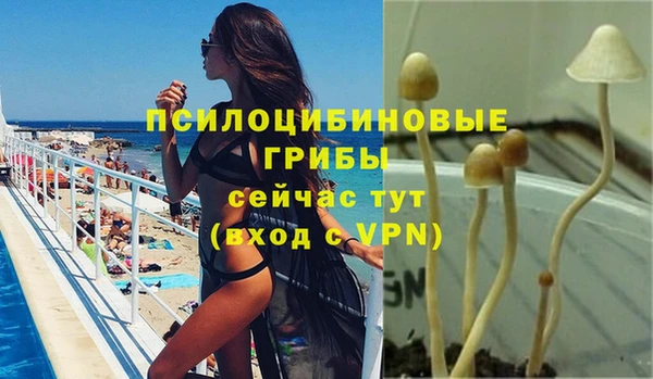прущие грибы Нефтегорск