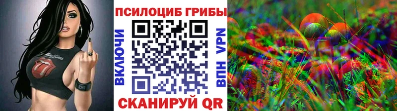 MEGA как войти Киселёвск Галлюциногенные грибы Psilocybine cubensis закладки
